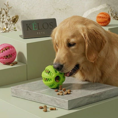Snack Ball · Balle distributrice de friandises