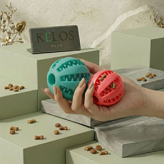 Snack Ball · Balle distributrice de friandises